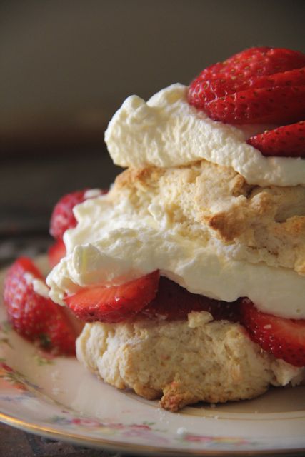 Strawberry Shortcakes…YUM :~)