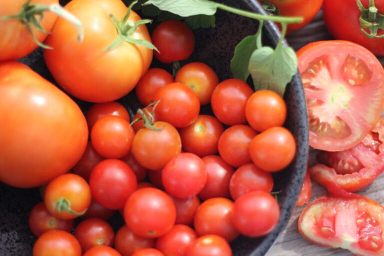 So many Tomatoes!